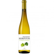 Pequenos Rebentos Alvarinho Trajadura 2021 White Wine