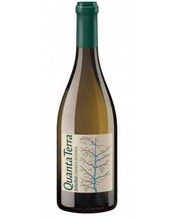 Quanta Terra Grande Reserva 2015 White Wine